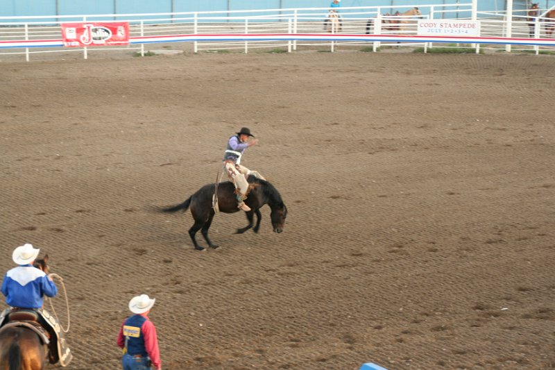 Trip (190).JPG - Bucking broncos at the Cody, Wyoming rodeo